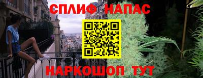 стаф Краснодар