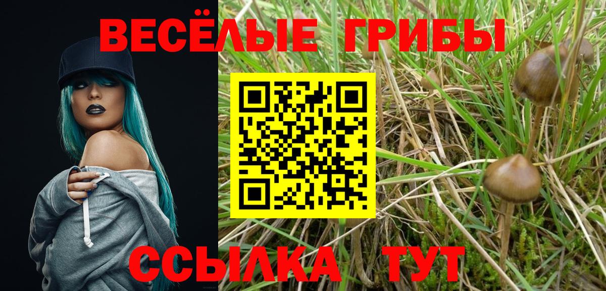 Псилоцибиновые грибы прущие грибы Ефремов