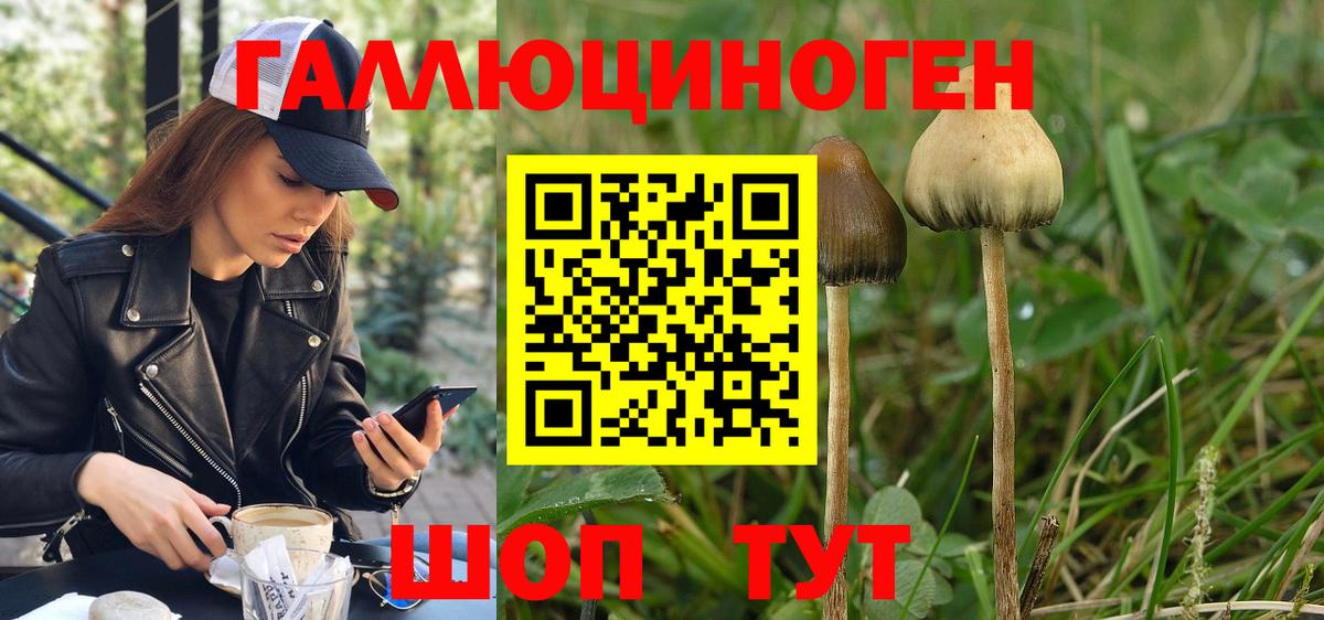 Галлюциногенные грибы MAGIC MUSHROOMS  Вход с VPN  Ефремов 